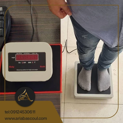 ترازوی همراه بدون کیف
